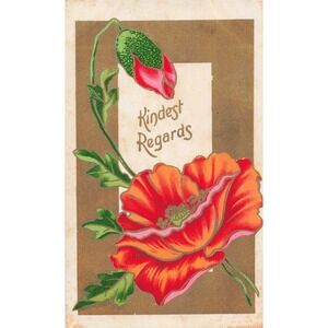 Vintage Red Poppy Kindest Regards Greeting Postcard Unposted Floral Art